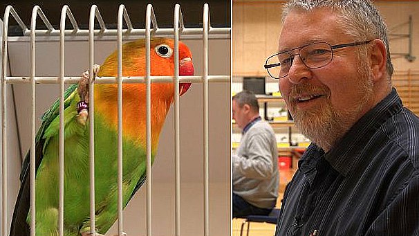 Erling er papegøje-ekspert: Niveauet er tårnhøjt DM | TV SYD