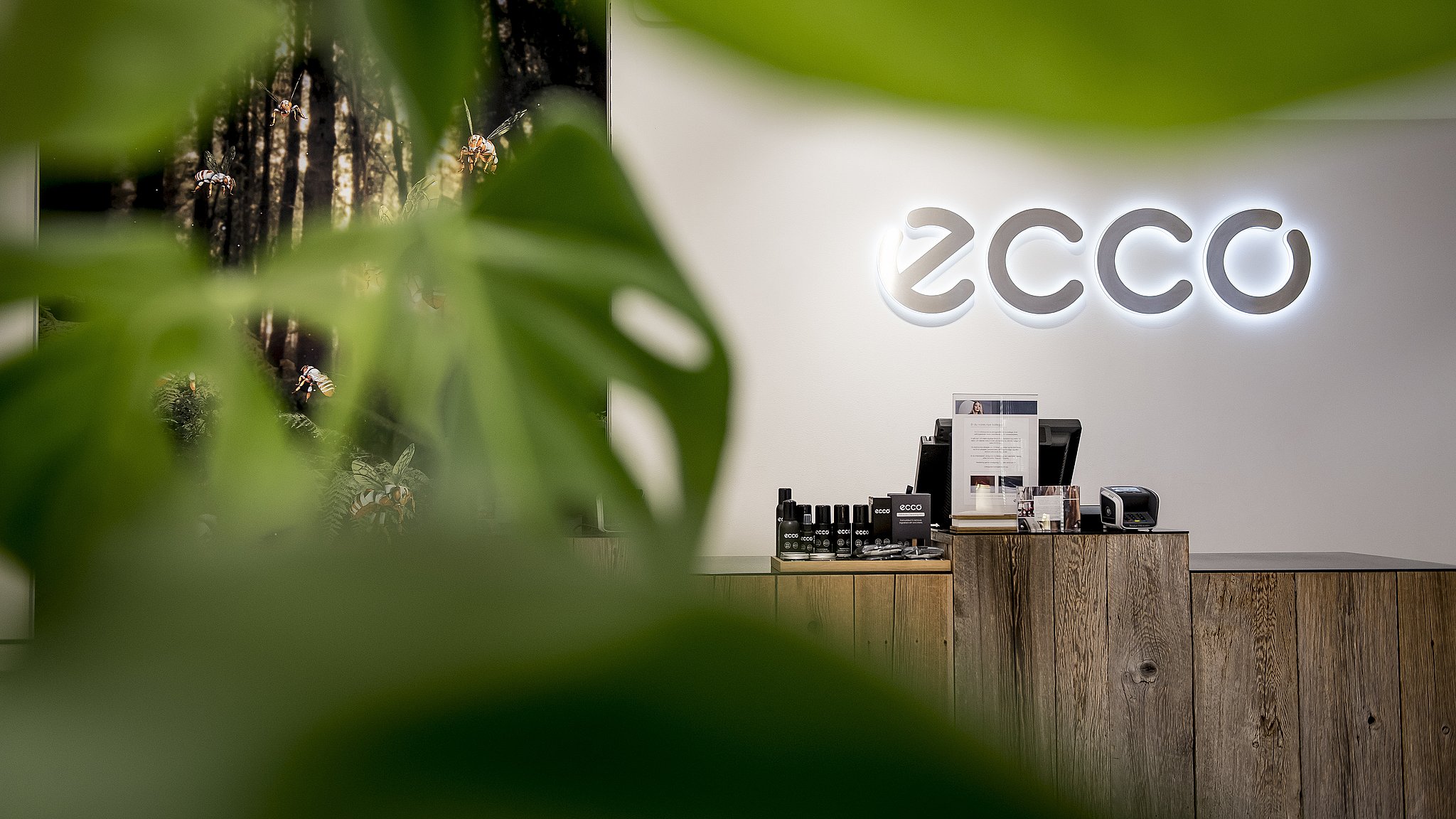 Korrekt modstand Antagonisme Sportskæde tordner mod Ecco: - Vi køber ikke Ecco igen, før de ændrer  tilgang | TV SYD