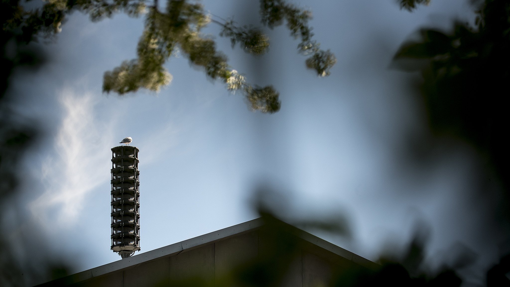 Luftalarm kan få kroppen i alarmberedskab så asylcentrene advarer ukrainske flygtninge TV SYD