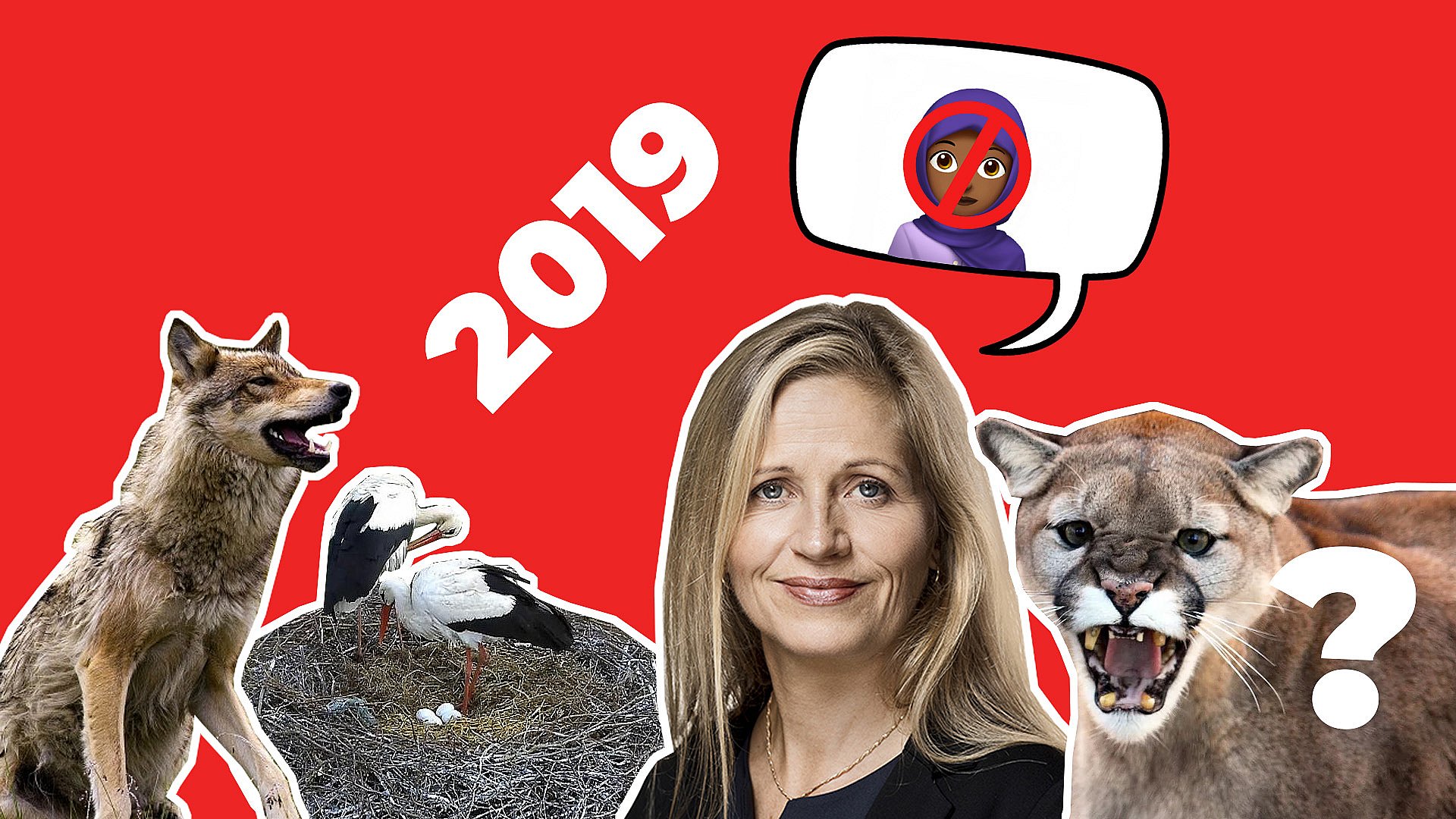Ulve, pumaer og storke: De 10 mest artikler på TV SYD i 2019 | TV SYD